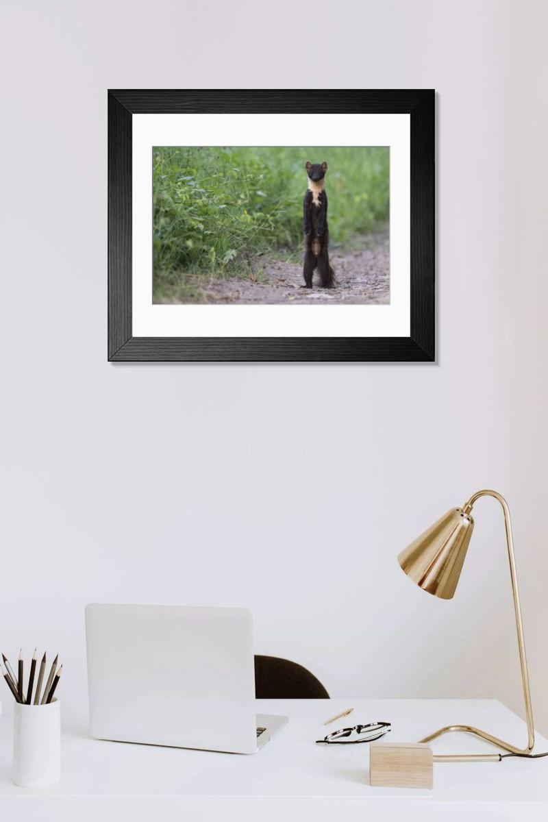 product preview 0