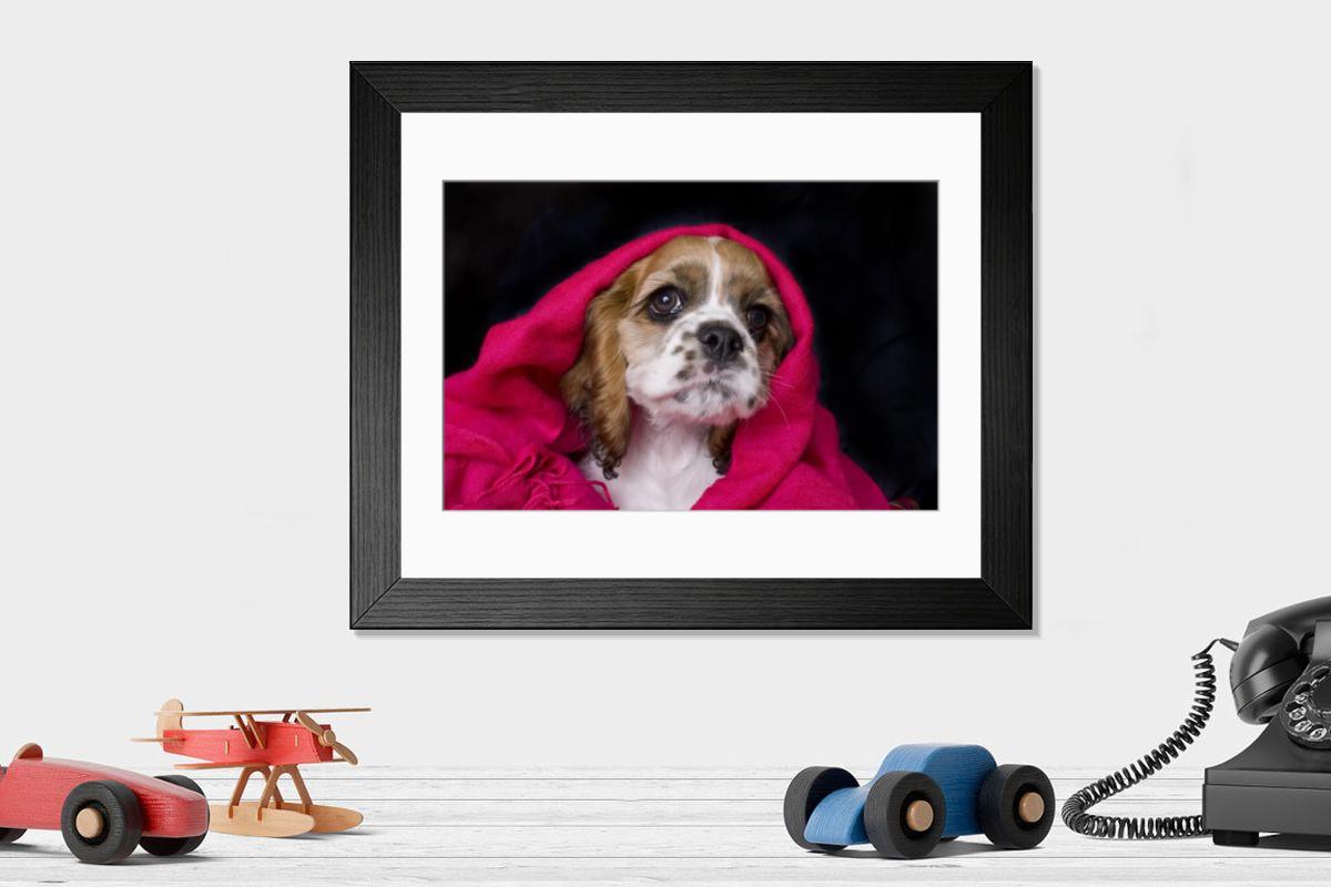 product preview 0