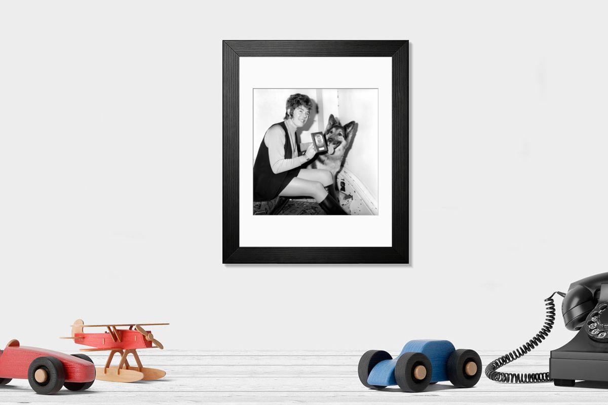 product preview 0