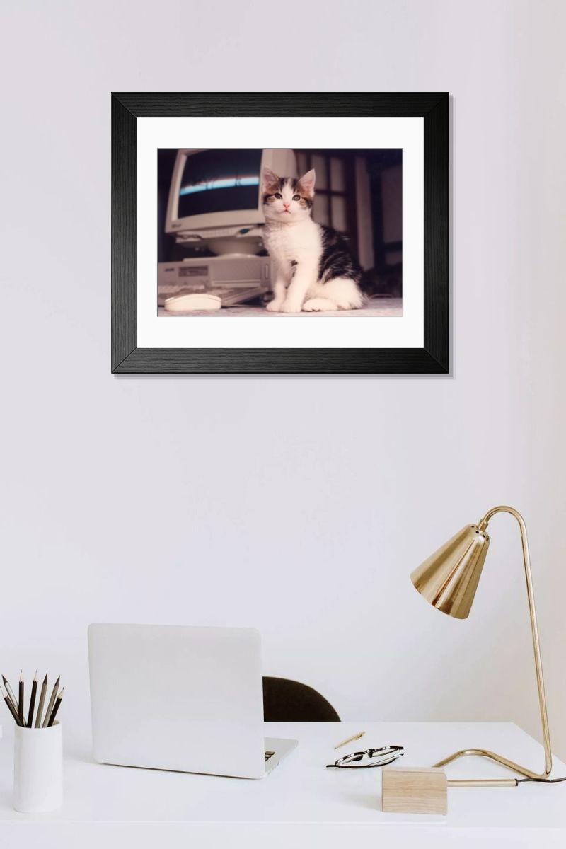 product preview 0