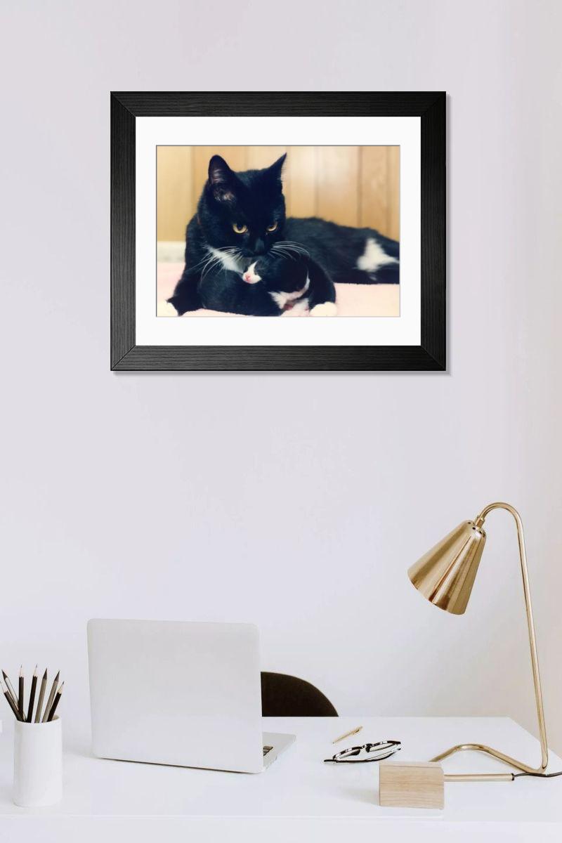 product preview 0