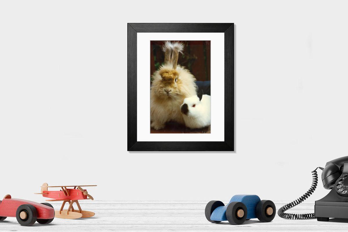 Shown hanging in a room: Modern 14"x12" (36x31cm)