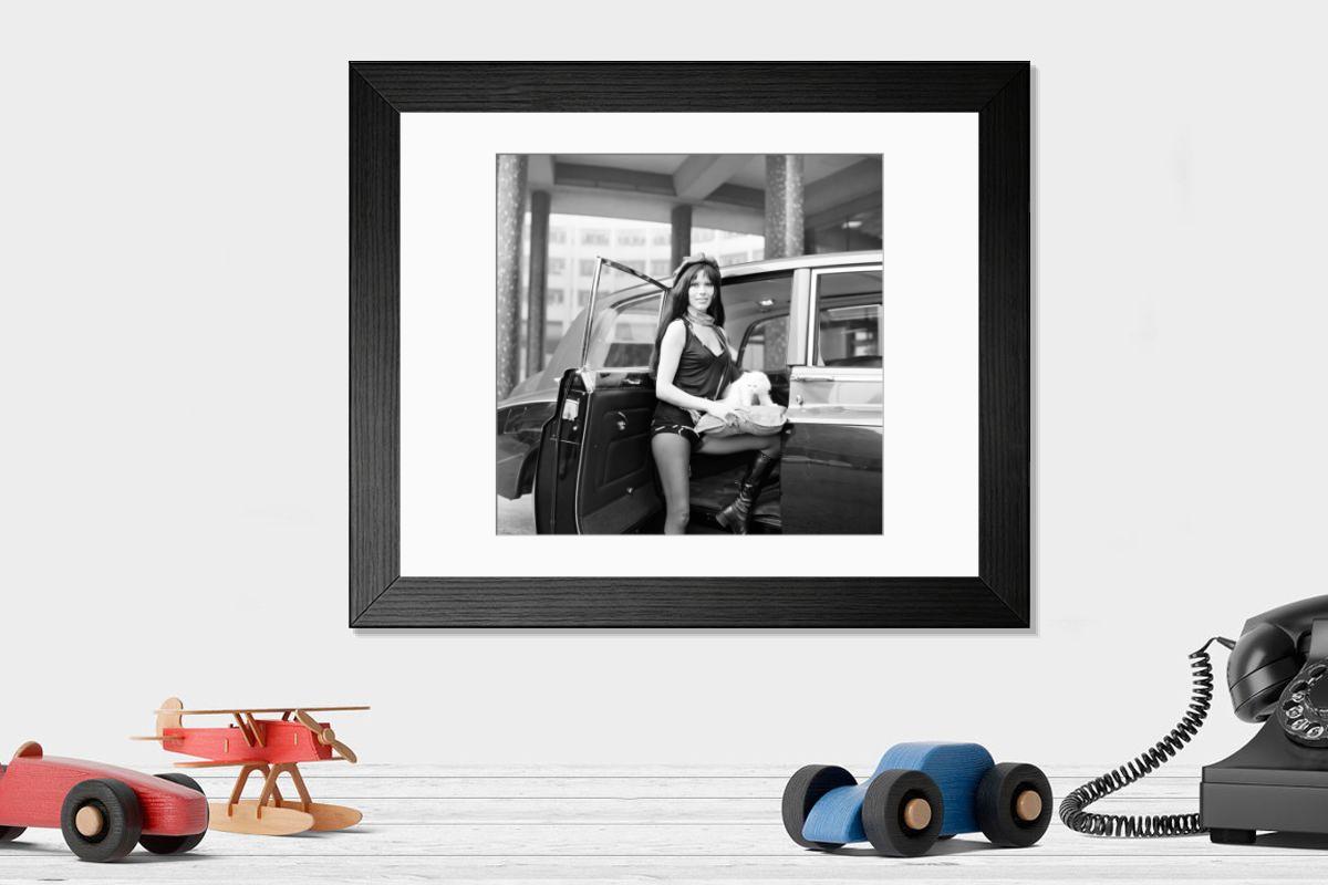 product preview 0