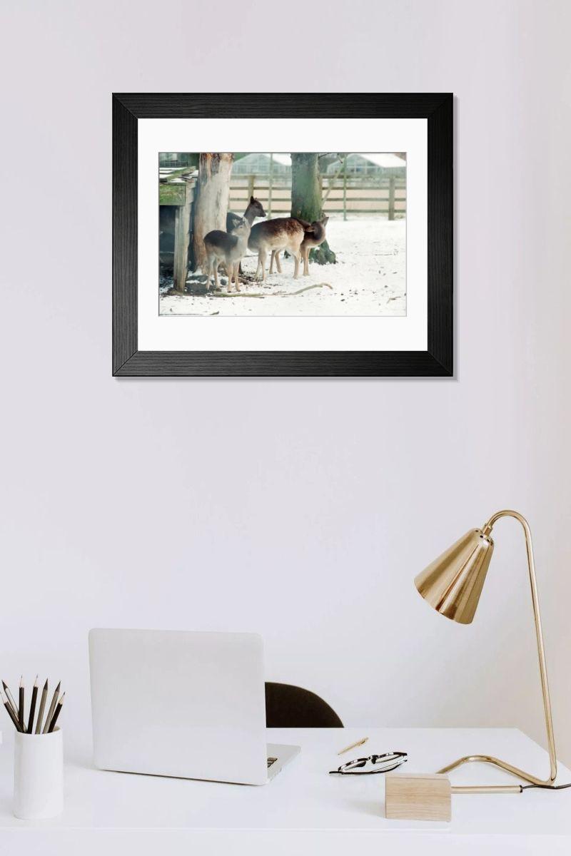 Shown hanging in a room: Modern 14"x12" (36x31cm)