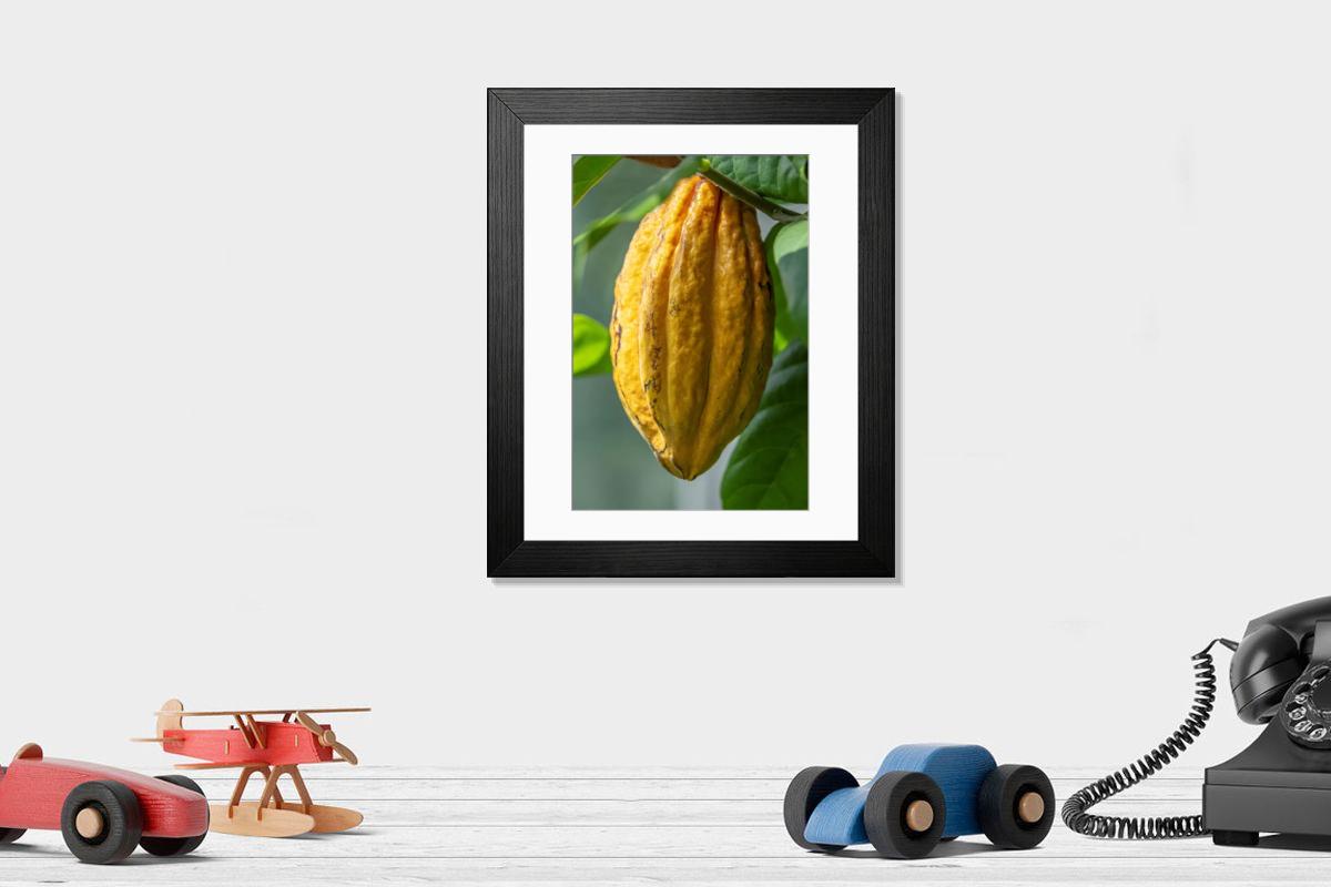 product preview 0