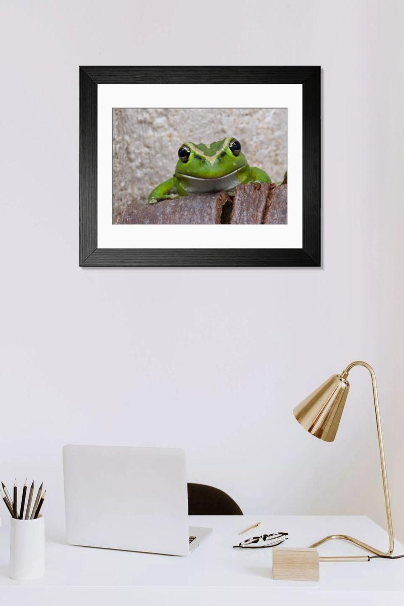 product preview 0