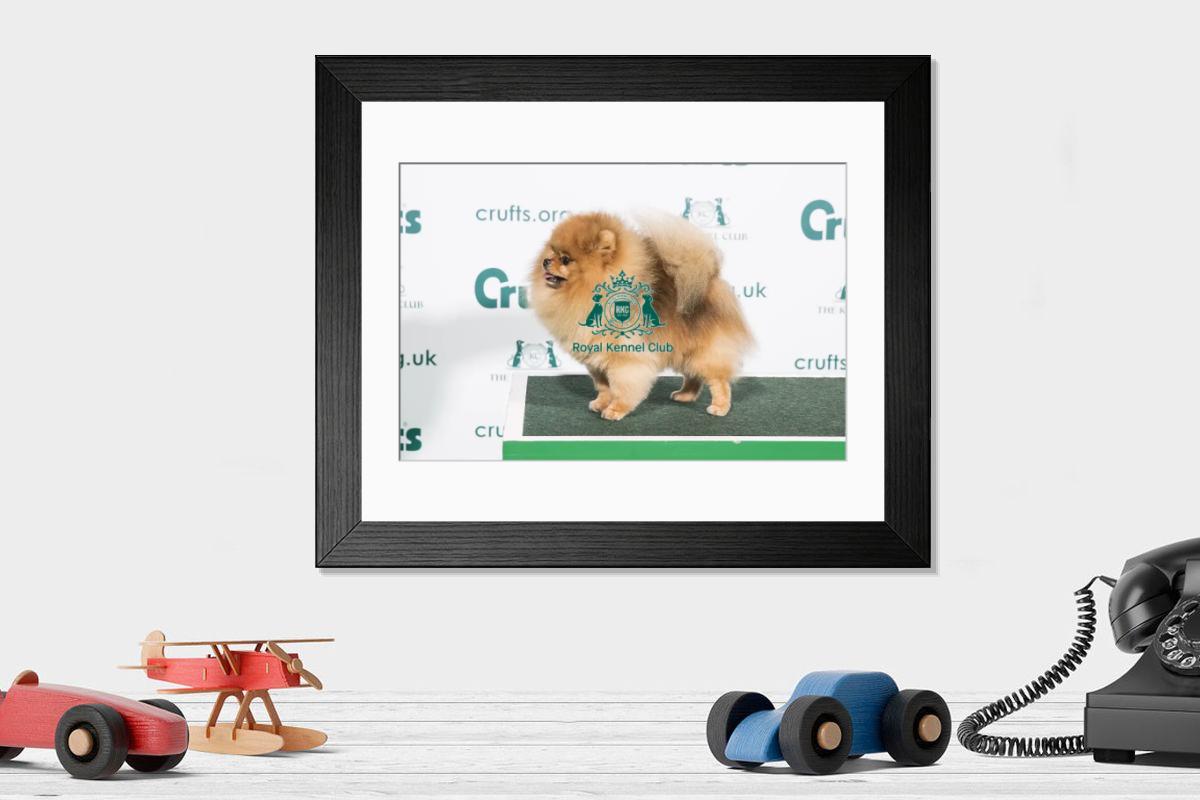 product preview 0