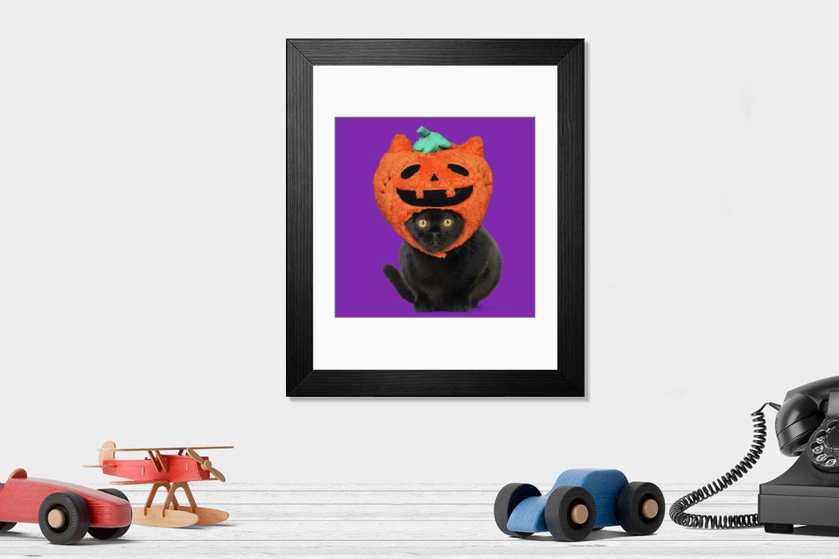 product preview 0