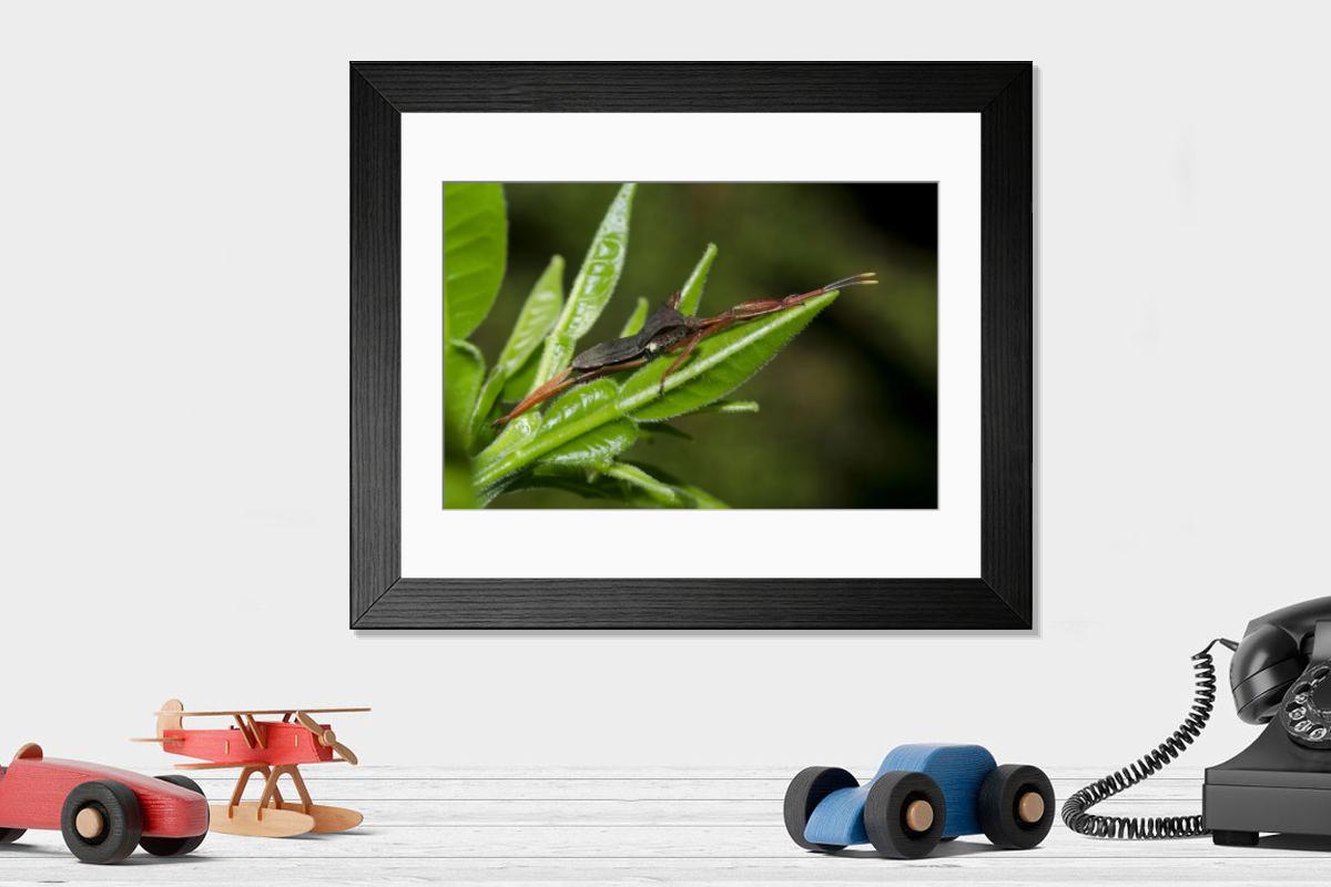 Shown hanging in a room: Modern 14"x12" (36x31cm)