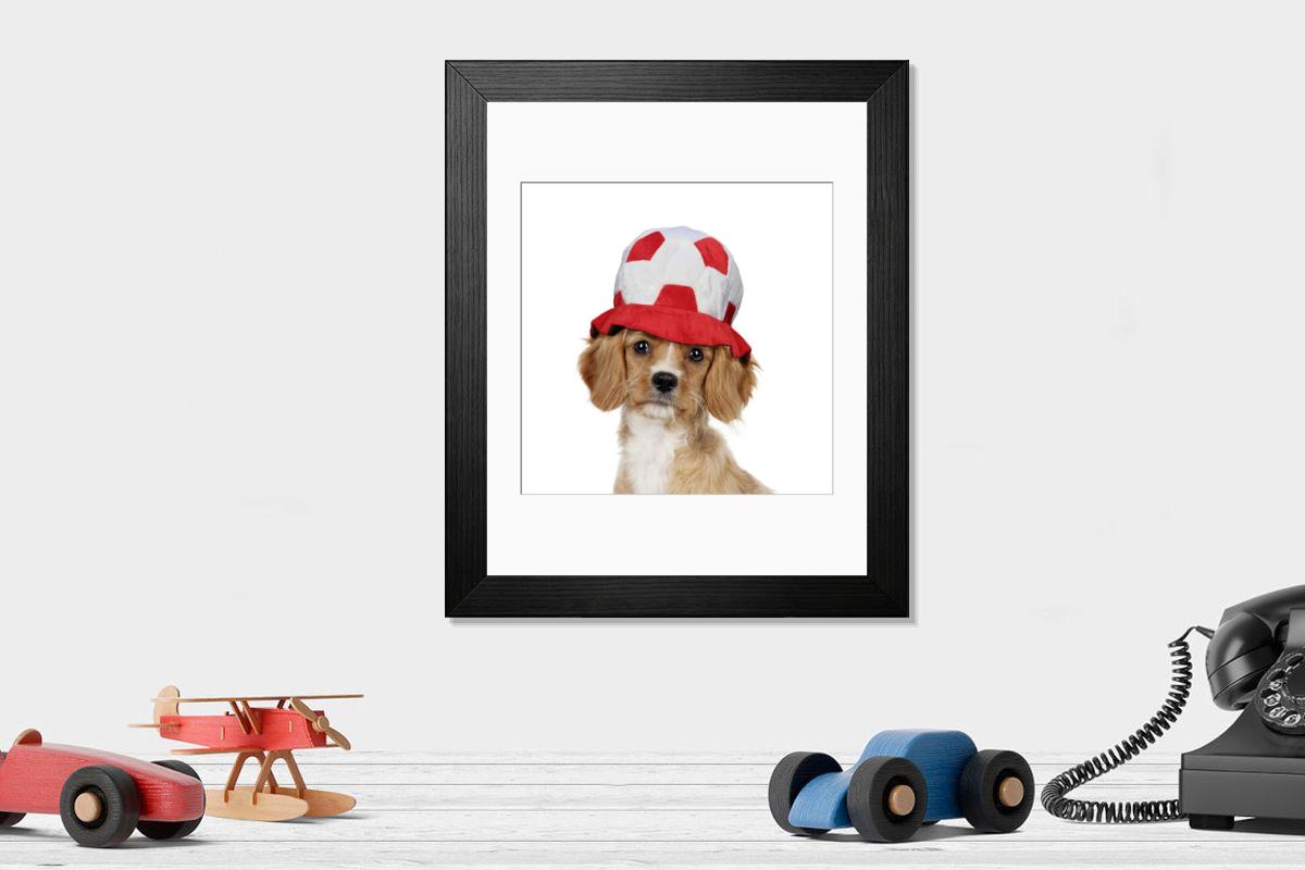 product preview 0
