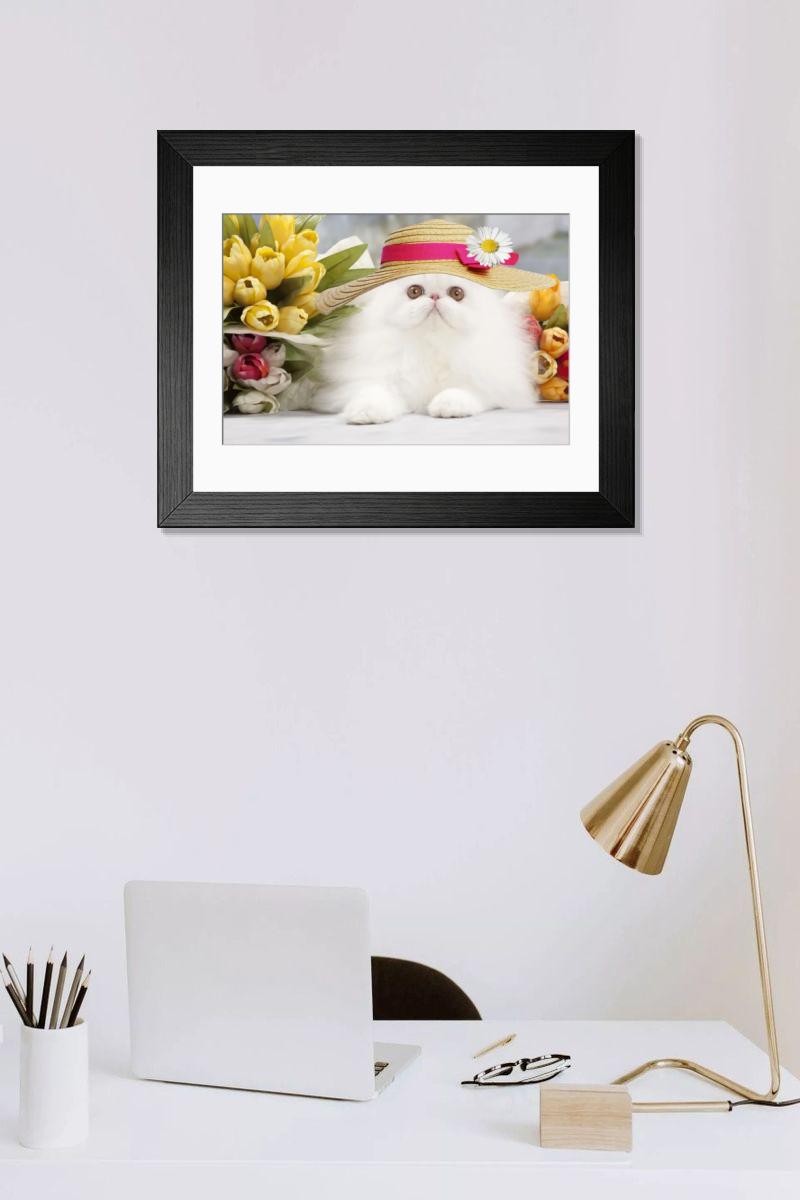 product preview 0