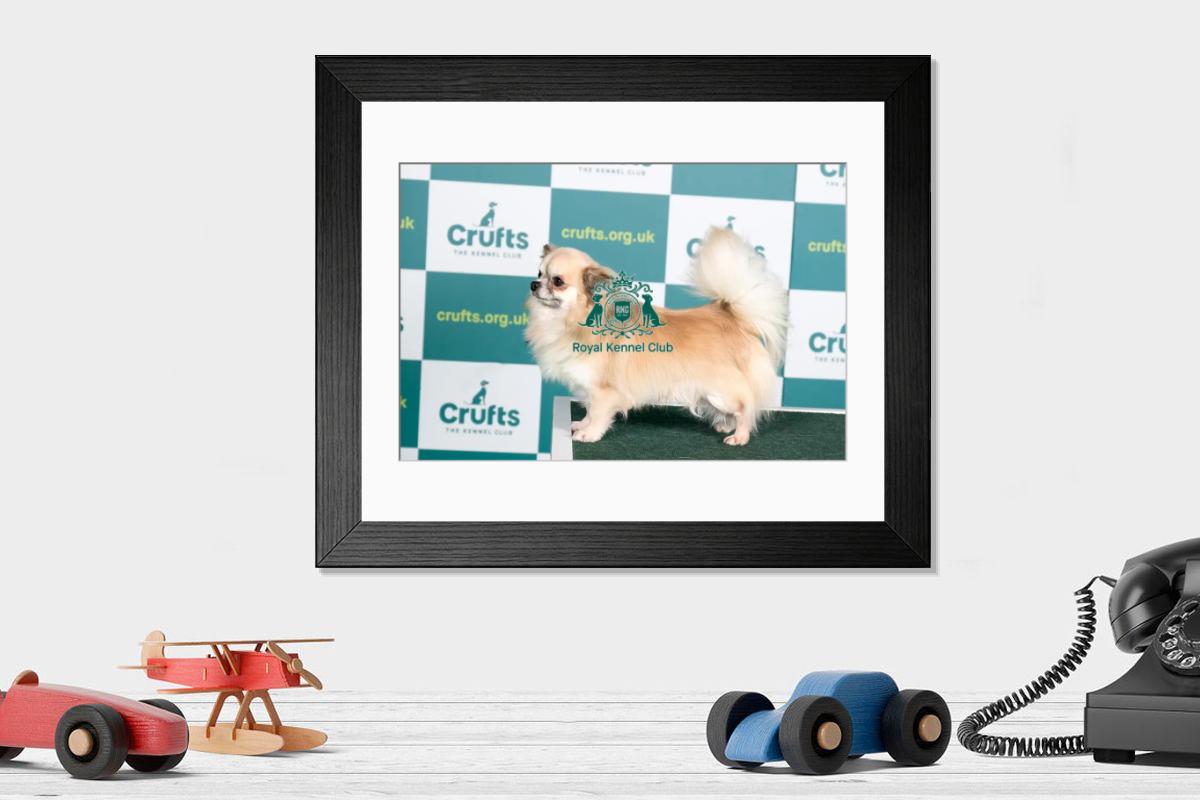 product preview 0