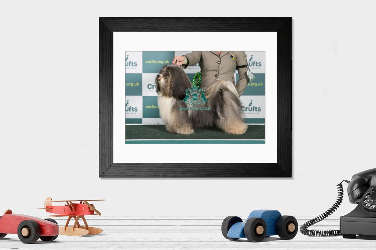 product preview 0