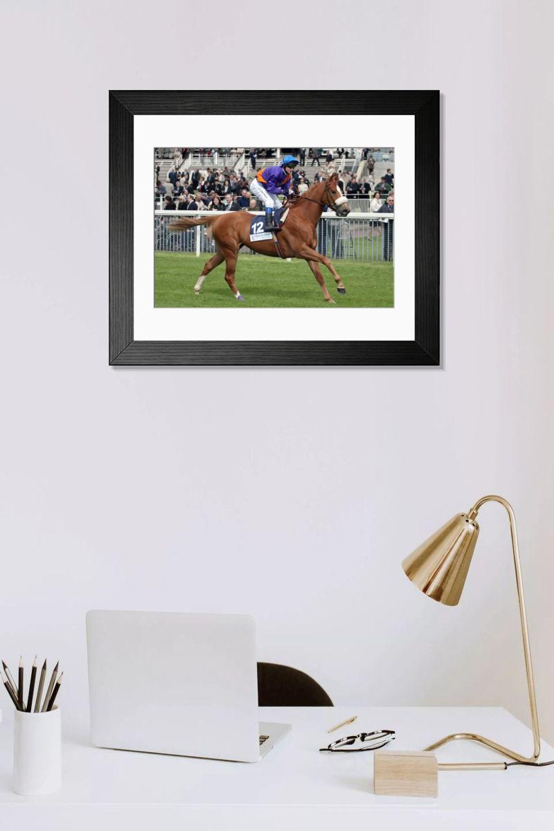 product preview 0