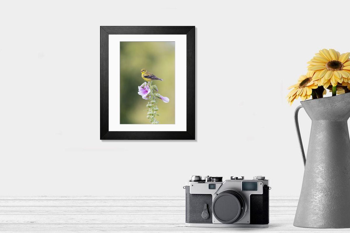 product preview 0