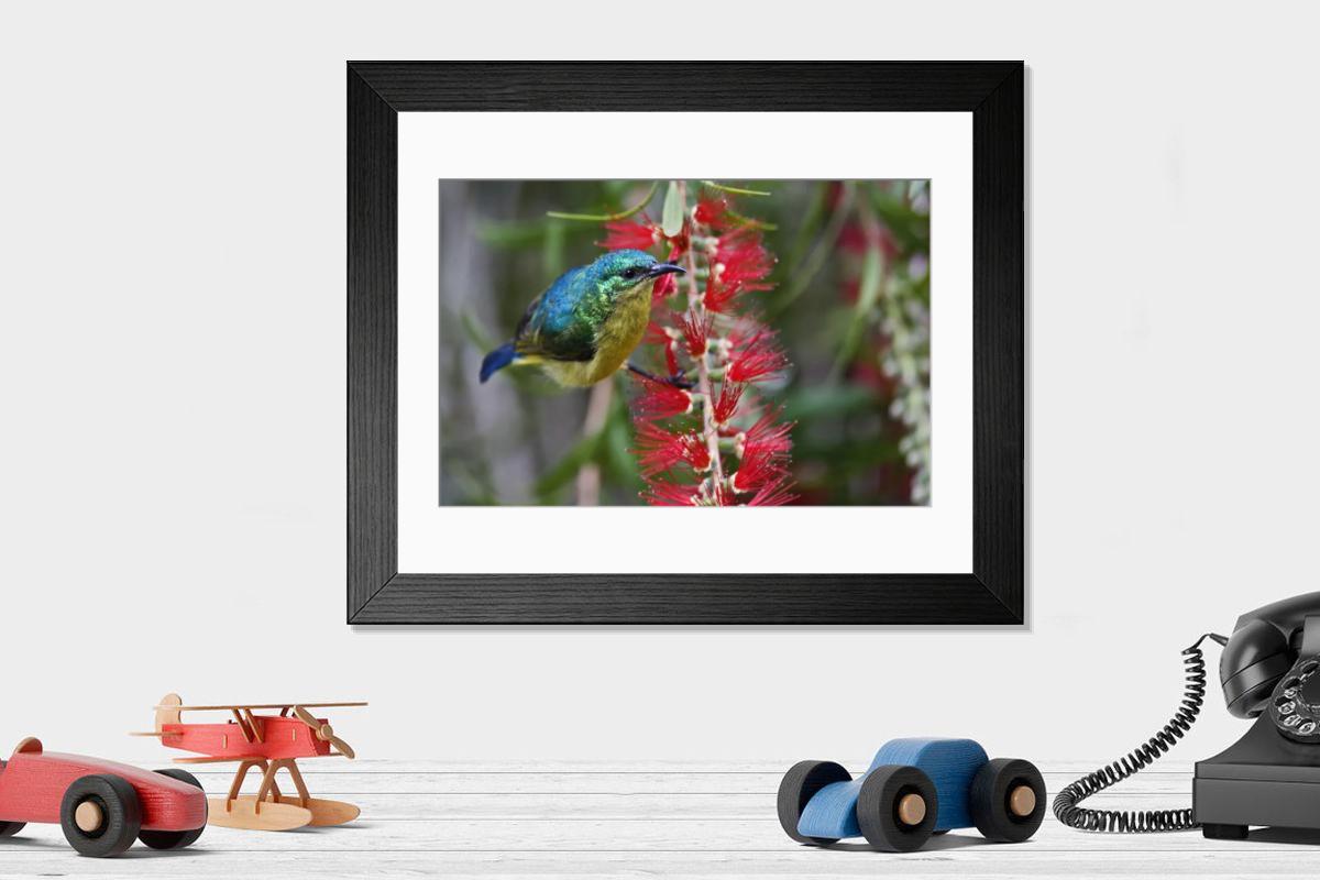 Shown hanging in a room: Modern 14"x12" (36x31cm)