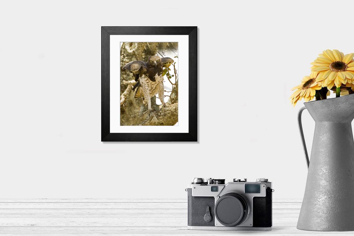 Shown hanging in a room: Modern 14"x12" (36x31cm)