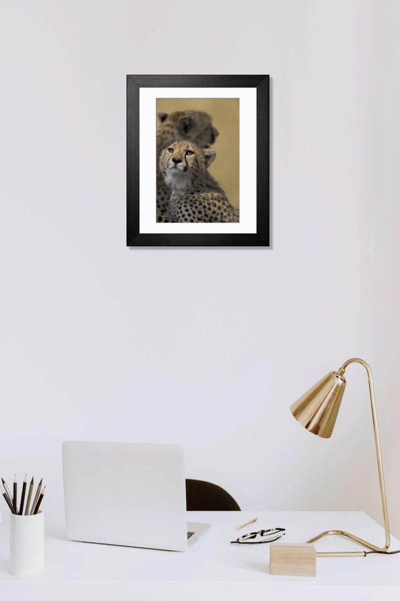 Shown hanging in a room: Modern 14"x12" (36x31cm)