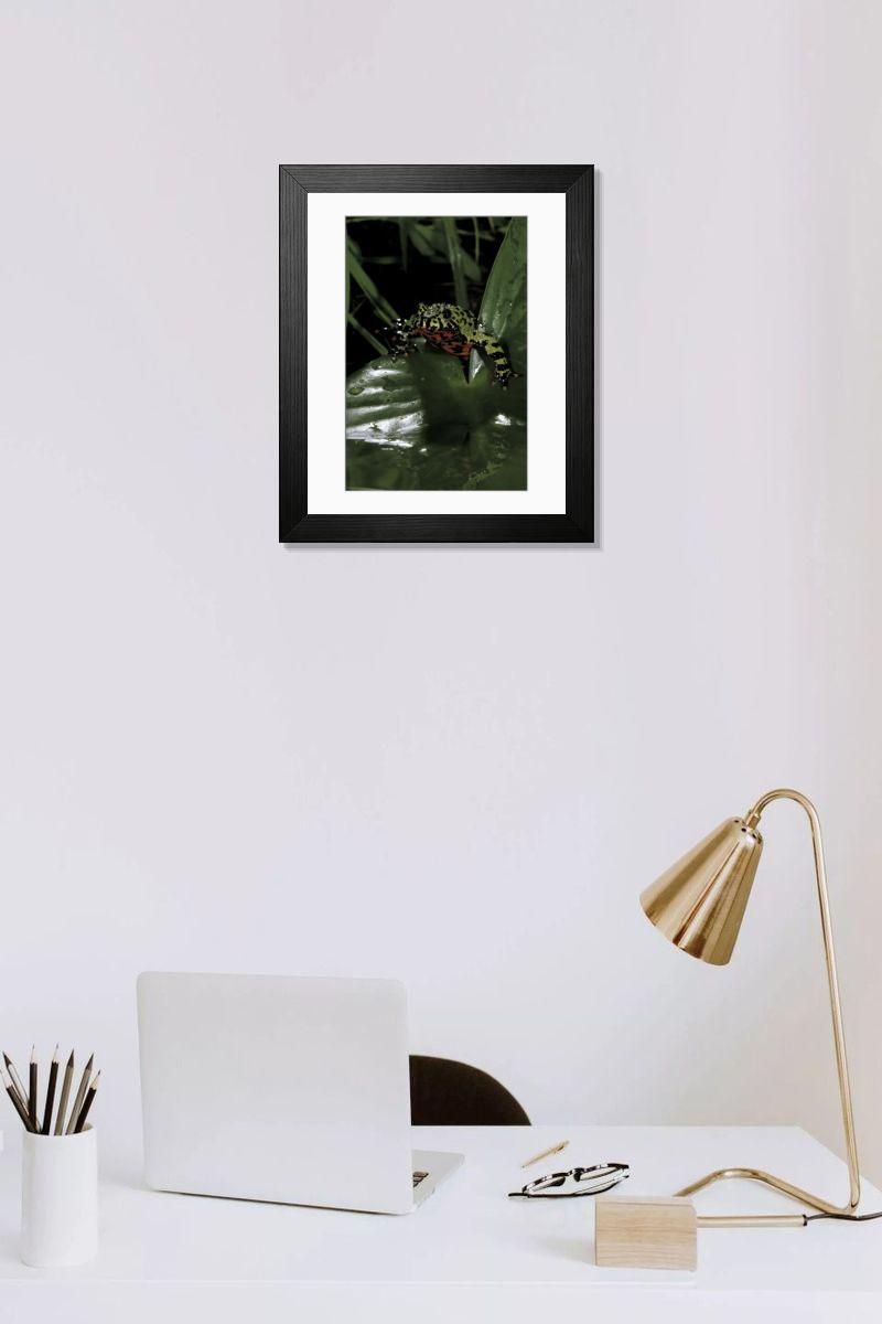 product preview 0