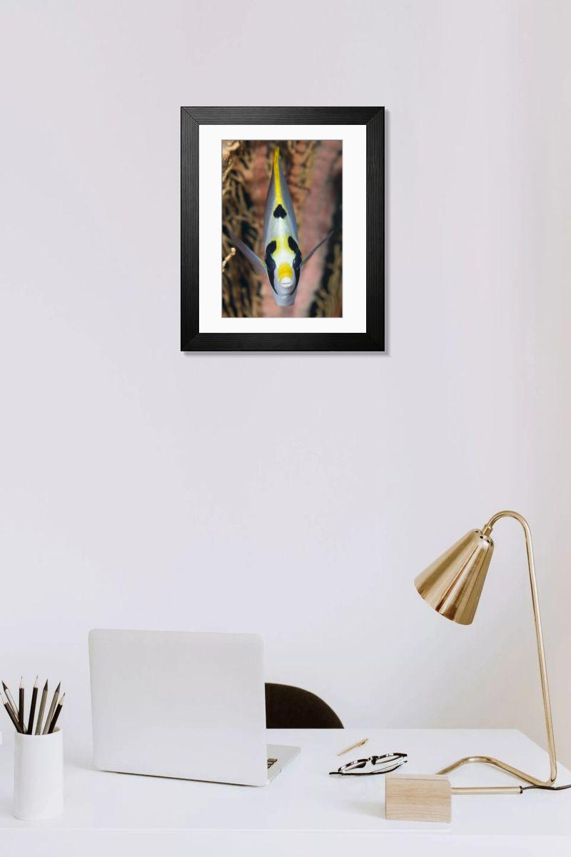 product preview 0