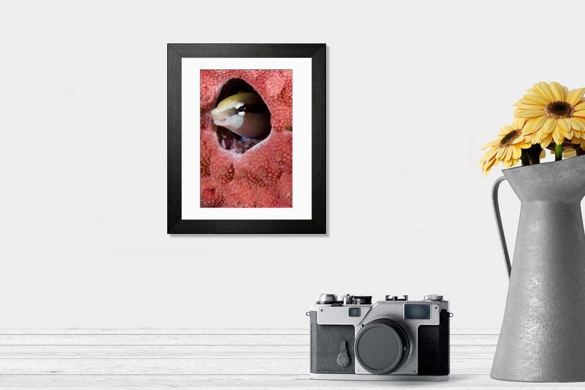 product preview 0