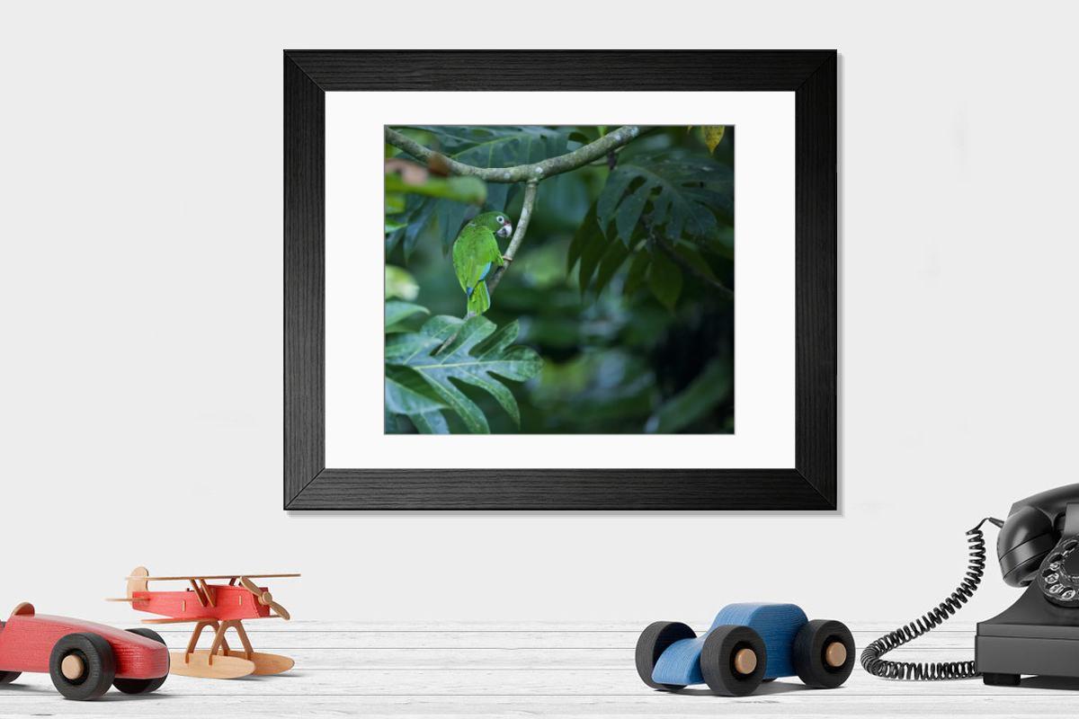 product preview 0