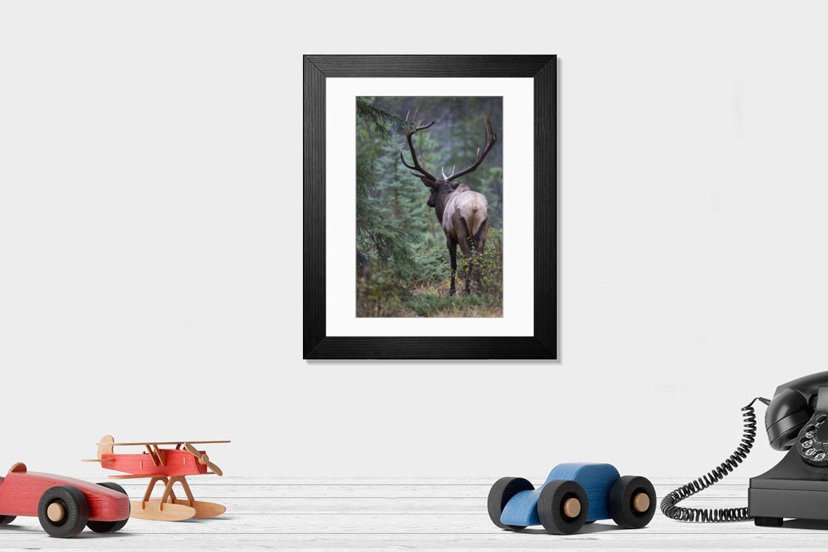 product preview 0