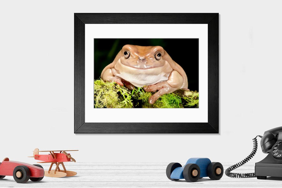 product preview 0