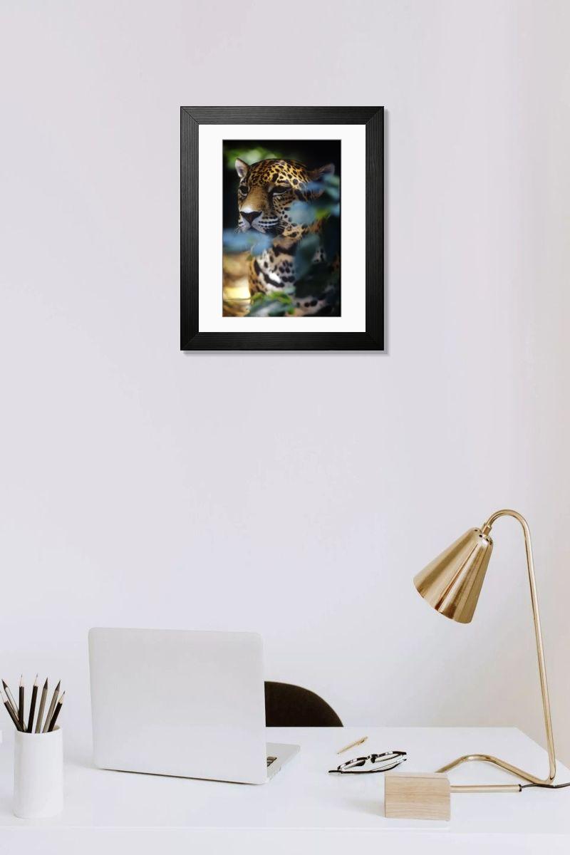 product preview 0