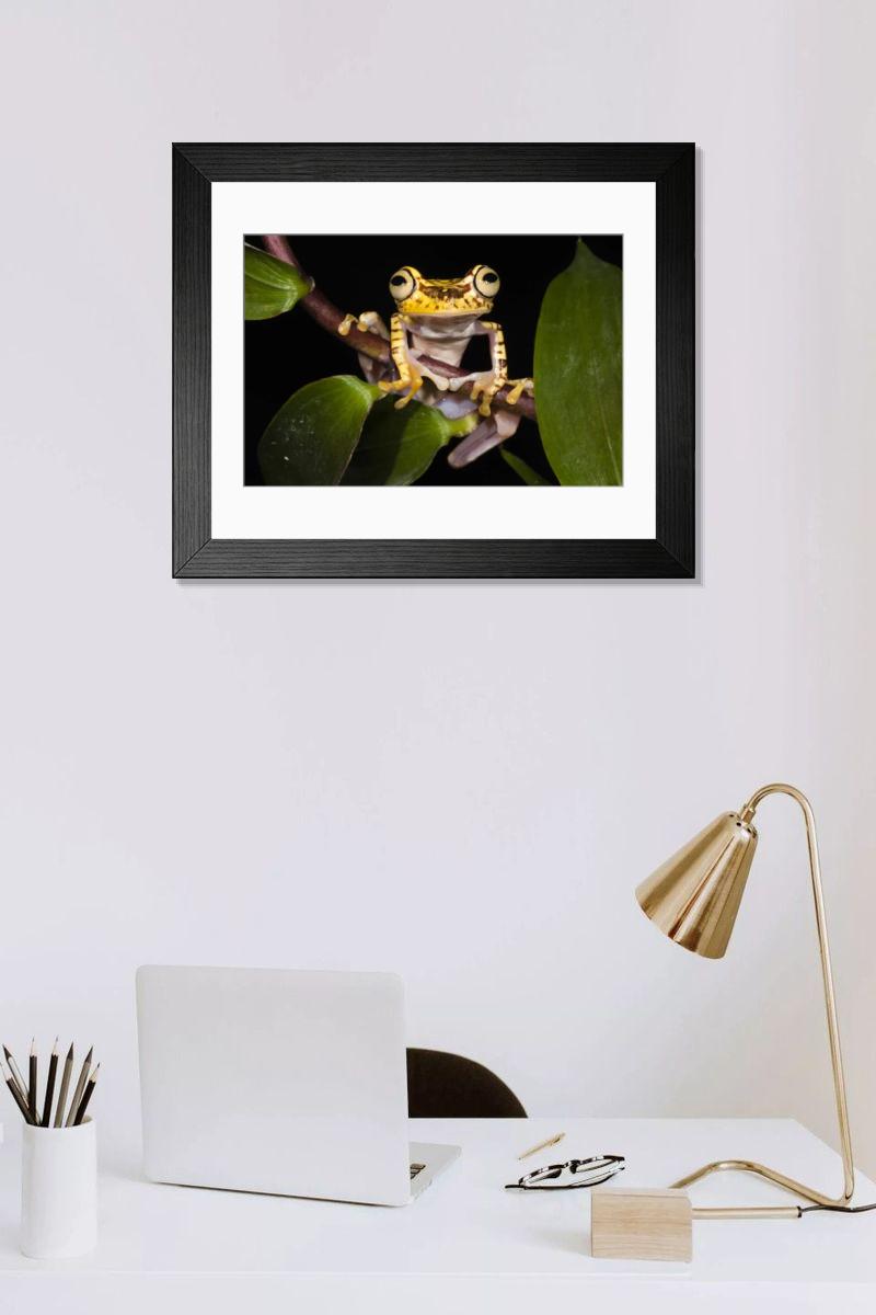 product preview 0