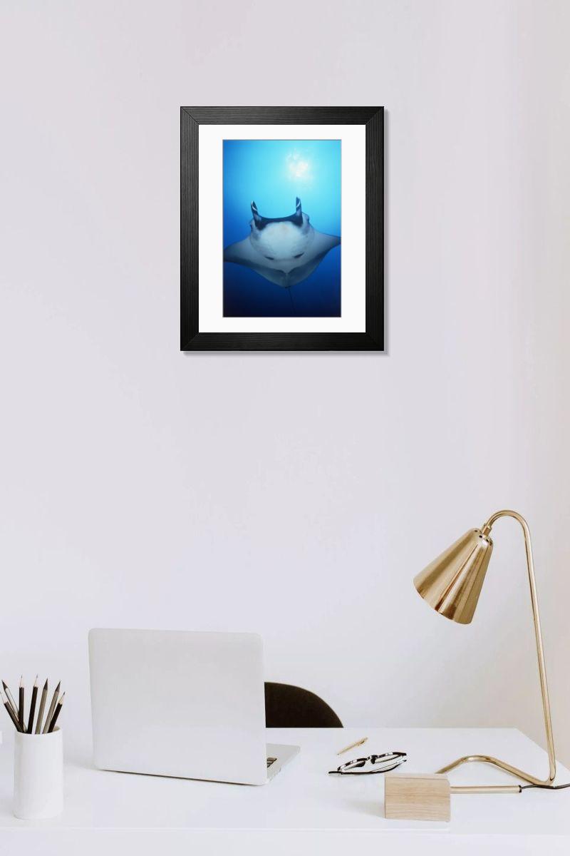 product preview 0