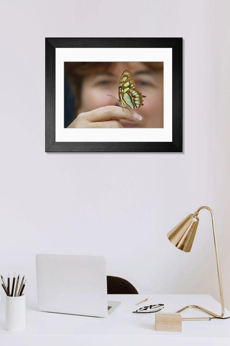 product preview 0