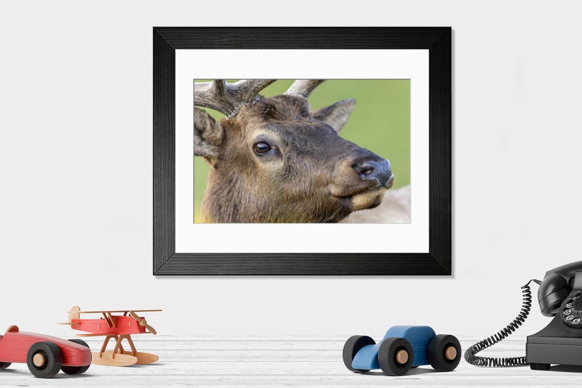 product preview 0