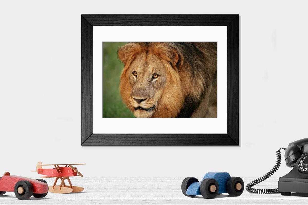 product preview 0