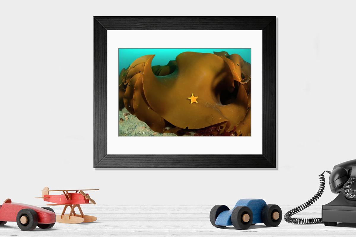 product preview 0