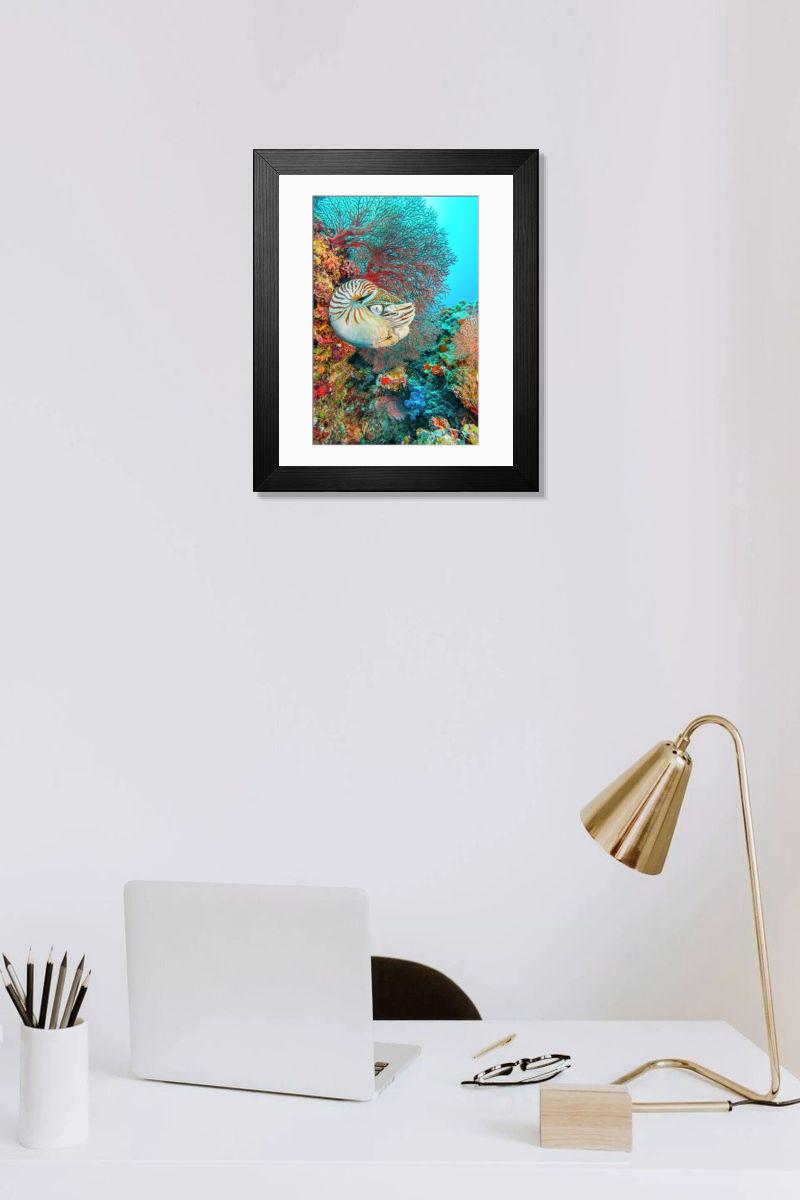 product preview 0