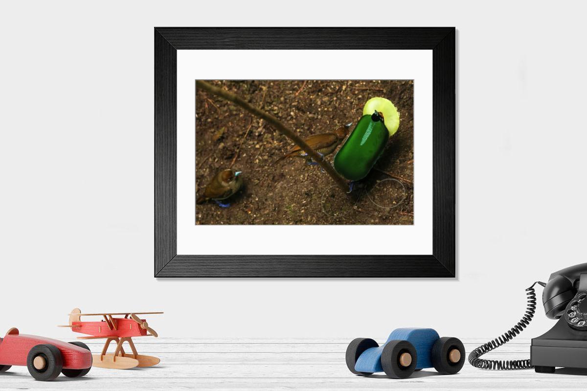 product preview 0