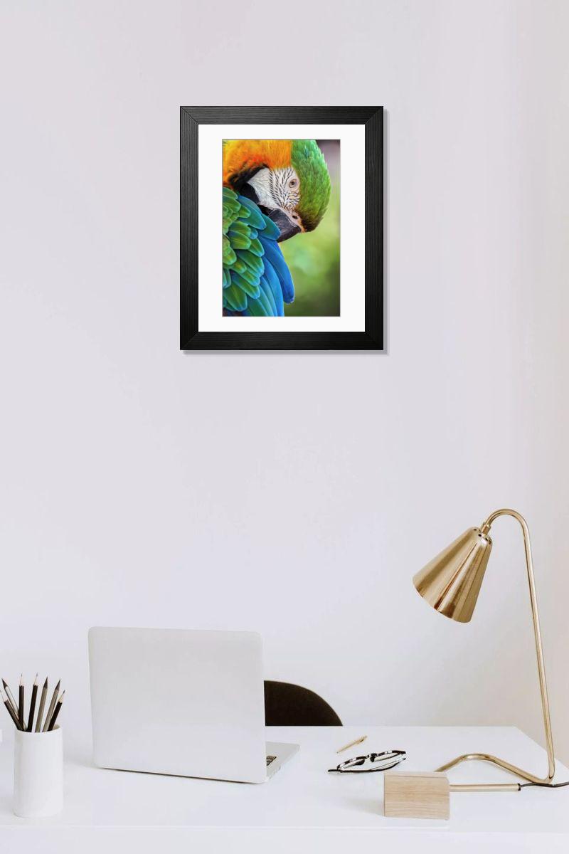 product preview 0