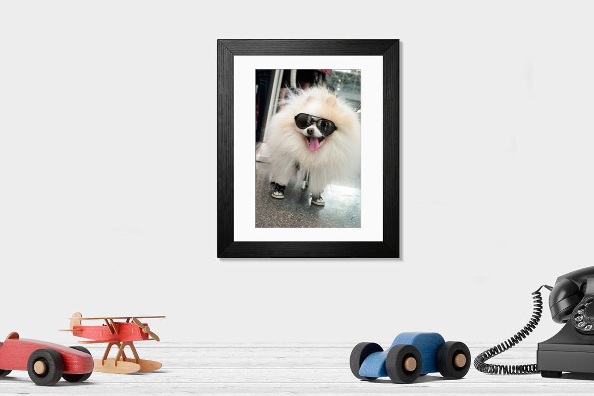 product preview 0