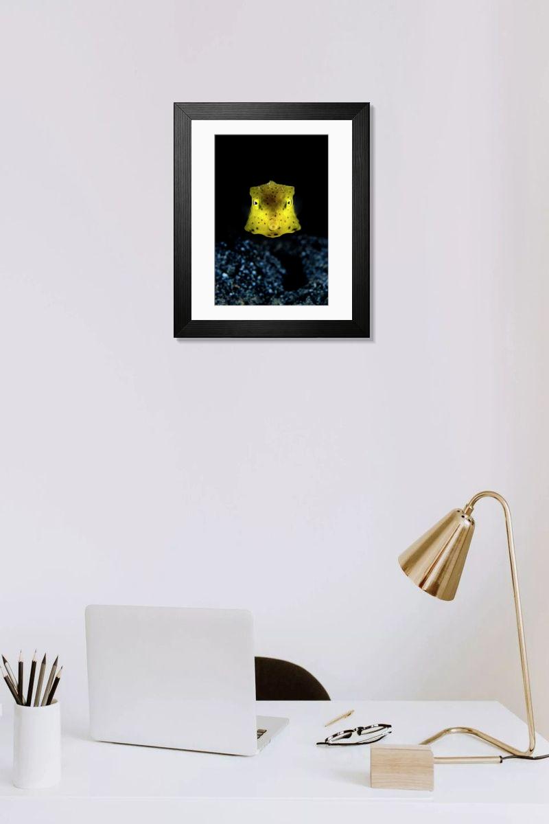 product preview 0