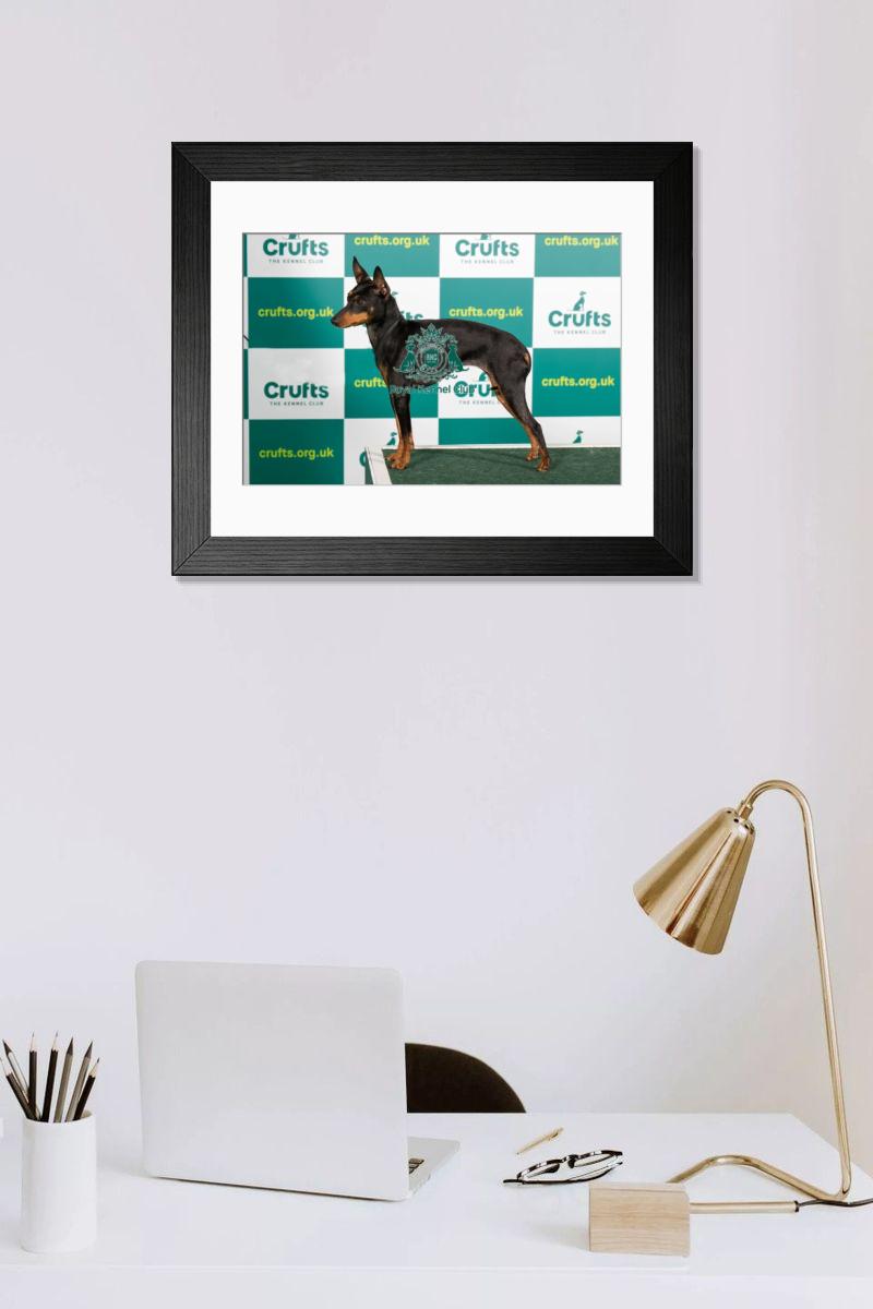 product preview 0