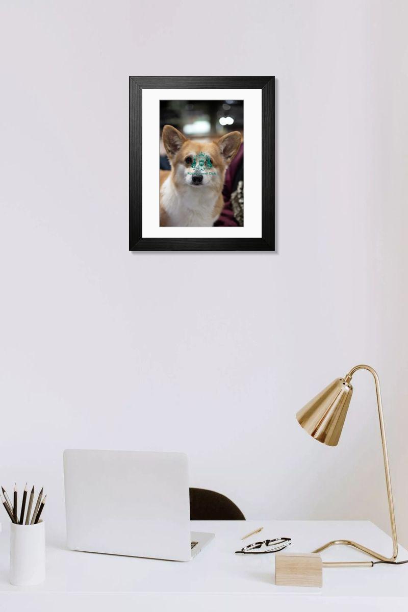 product preview 0