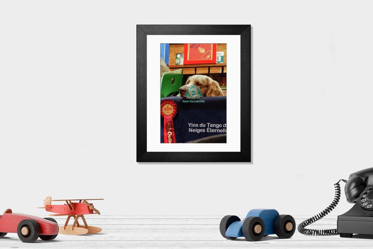 product preview 0