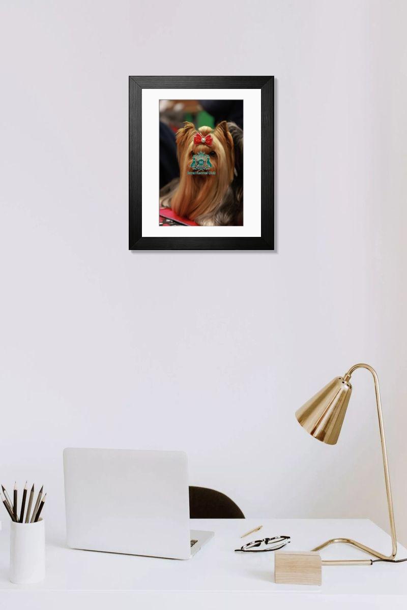 product preview 0