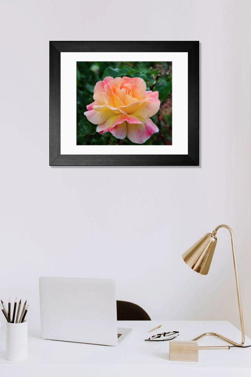Shown hanging in a room: Modern 14"x12" (36x31cm)