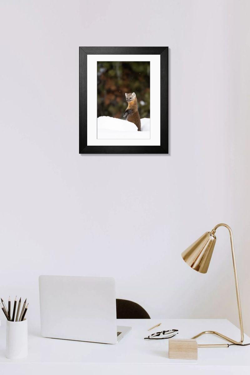 product preview 0