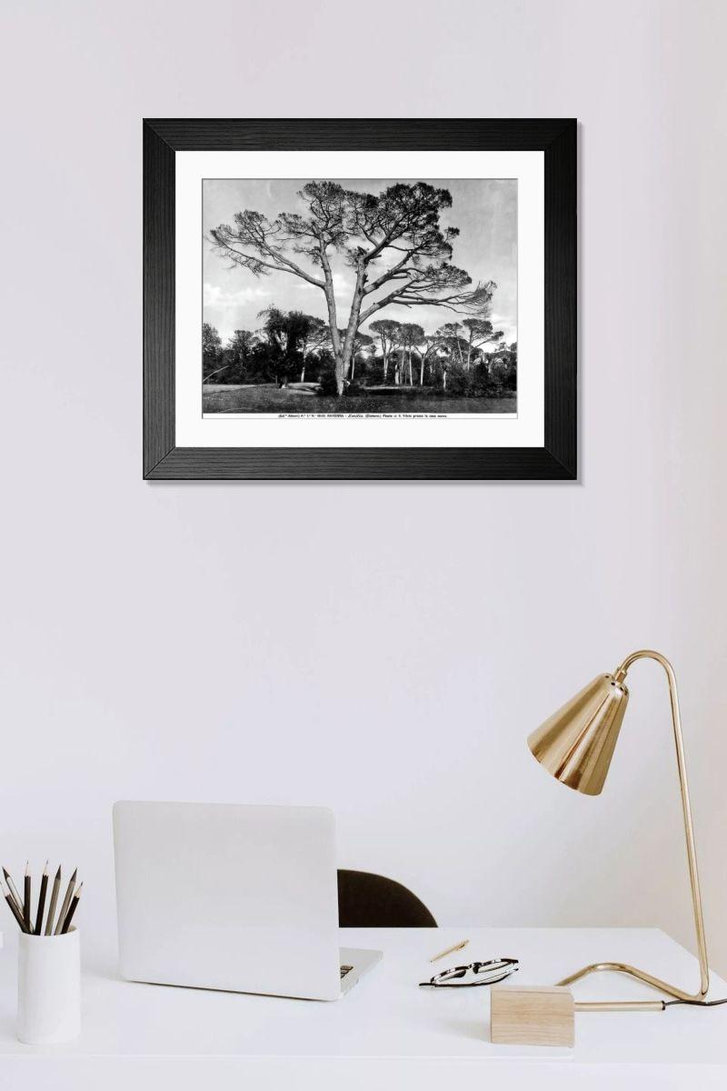 Shown hanging in a room: Modern 14"x12" (36x31cm)