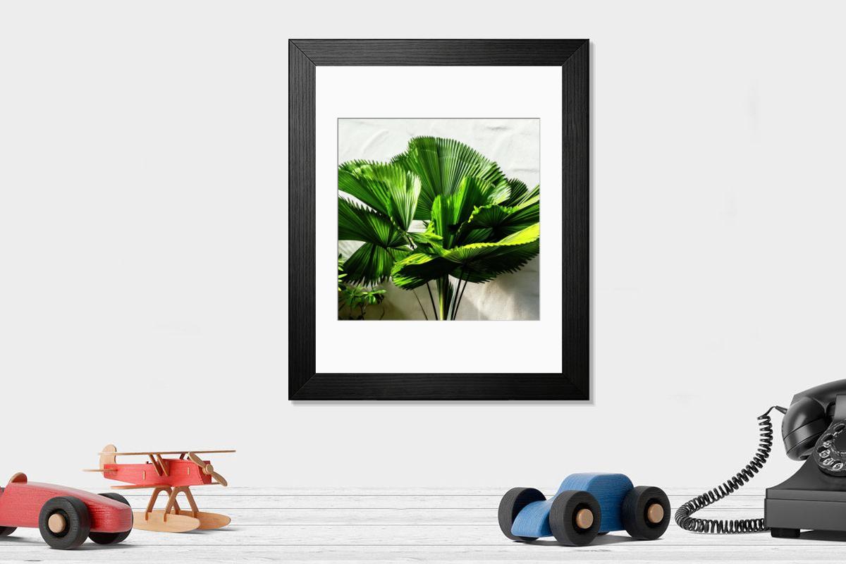 product preview 0