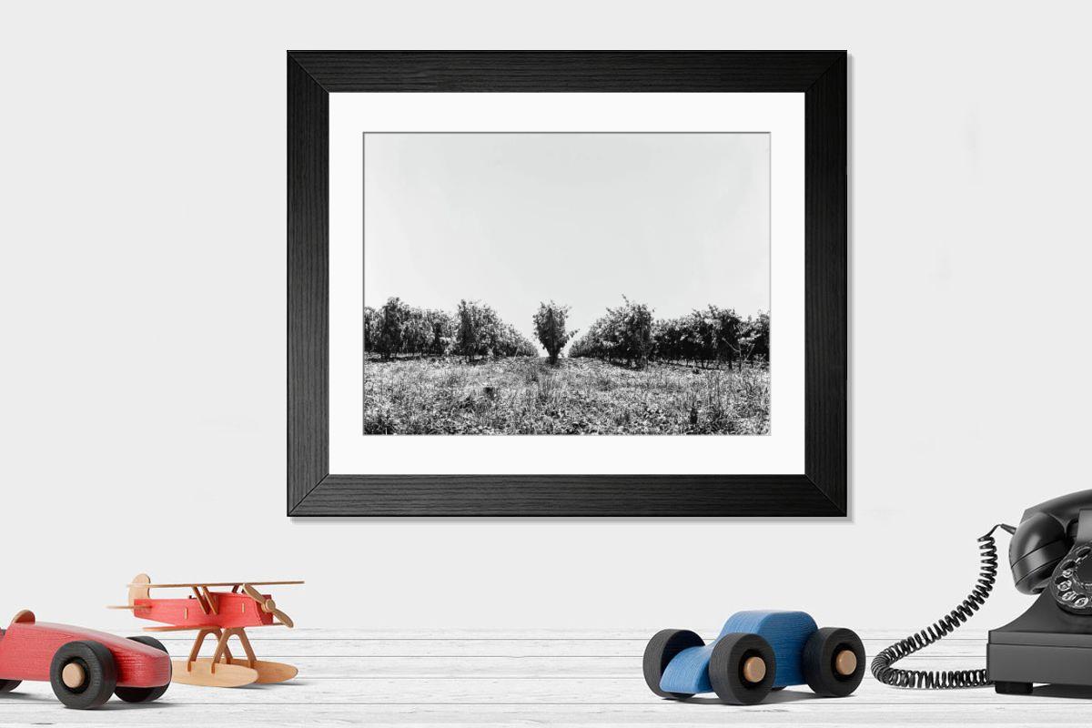 Shown hanging in a room: Modern 14"x12" (36x31cm)