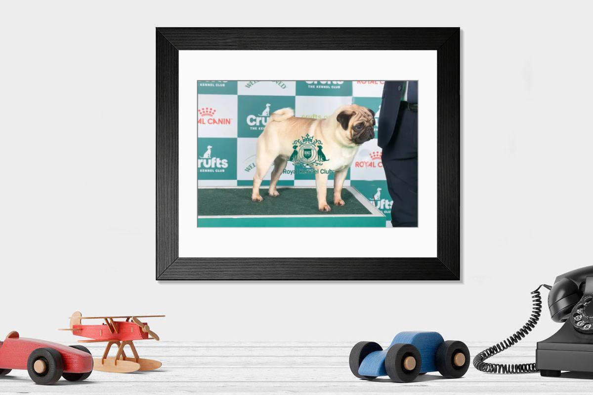 product preview 0